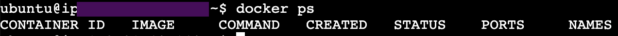 docker ps