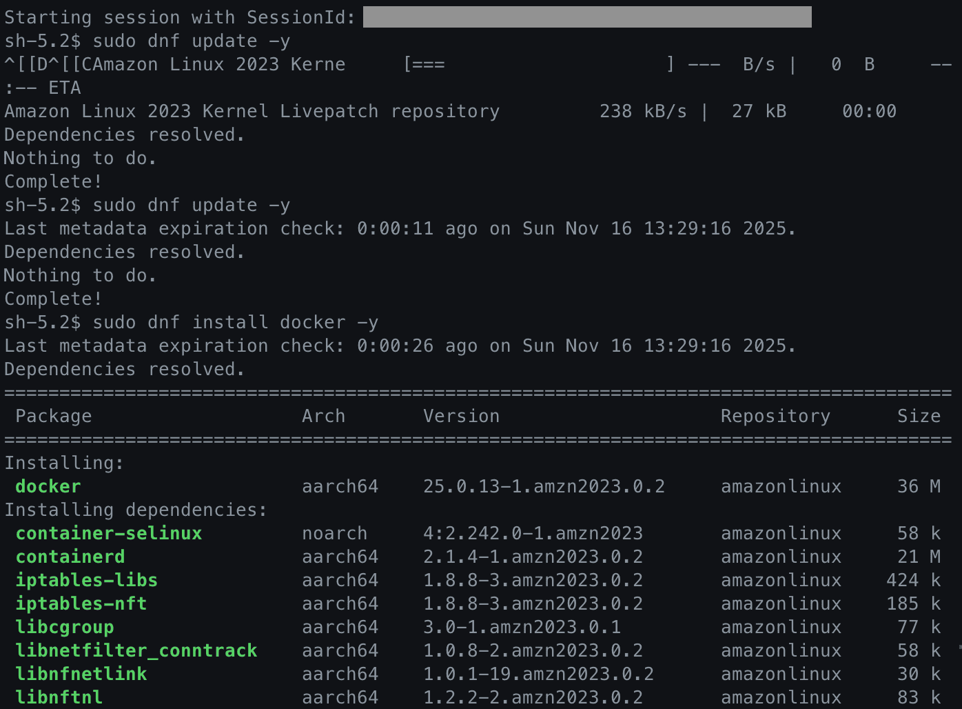 dnf 업데이트 및 docker 설치 시작 dnf 업데이트 및 docker 설치 시작